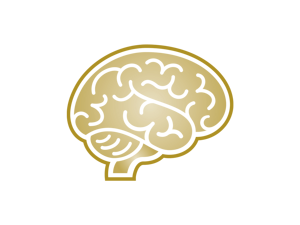 cognitive-development