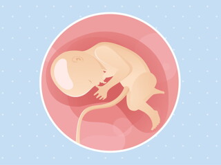 Week 33 Week 33