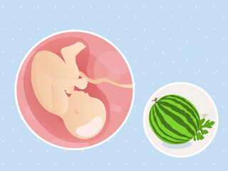 pregnancy-belly-fetal-development-week-39-no-text fetal development week 39