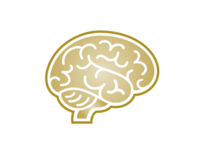 cognitive-development