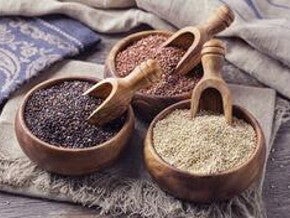 QUINOA: Can It Address My Growing Child’s Nutritional Needs?