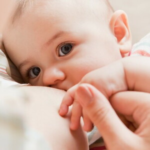 Protein In Breast Milk Protein In Breast Milk