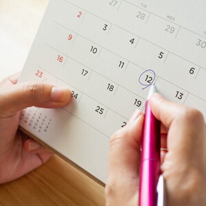 pregnancy month by month pregnancy calender