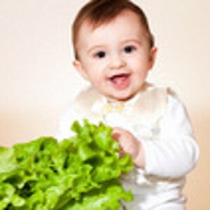 أهم العناصر الغذائية