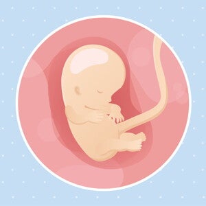 Semaine 10 de grossesse