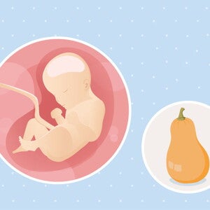 fetal development week 29