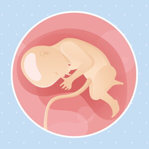 Week 33