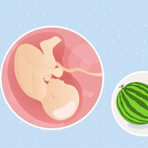 fetal development week 39