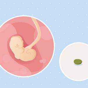 pregnancy-belly-fetal-development-week-4-no-text fetal development week 4