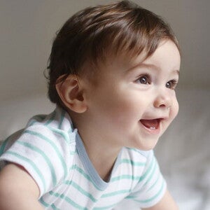 Transitioning Between Different Milk Feeding Options