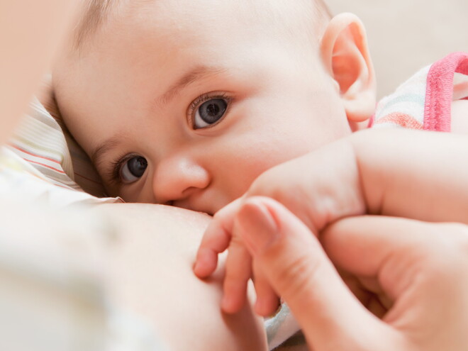 protein in breast milk protein in breast milk