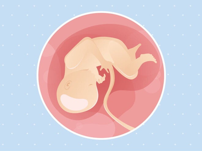 Semaine 34 de grossesse