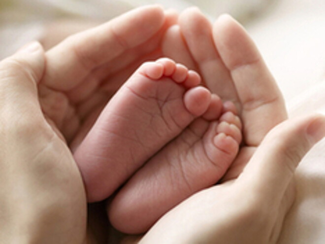 Role Of Protein In Infancy