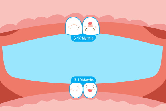 Stages of Teething in Children
