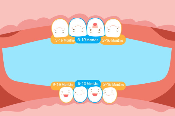 Stages of Teething in Children