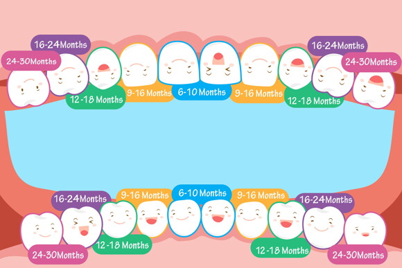 Stages of Teething in Children
