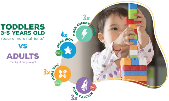 Fascinating Toddler Facts