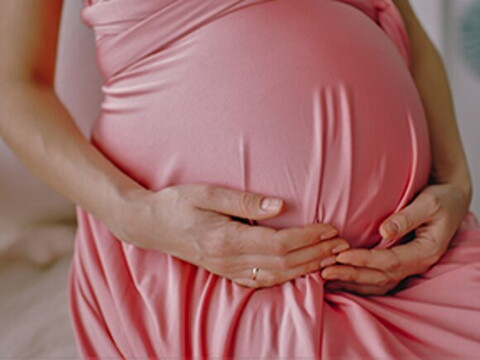 Pregnancy Pregnancy