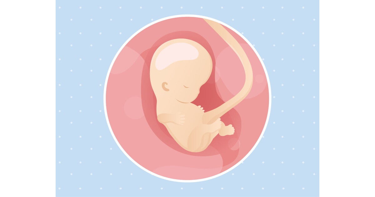 Pregnancy Week 9 | Pregnancy Weeks | FamilyNes
